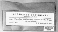 Image Associated With the Occurence